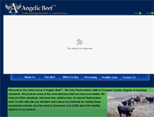 Tablet Screenshot of angelicbeef.com